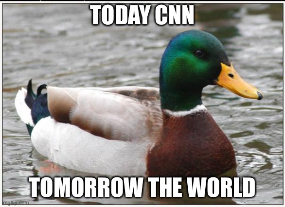 Duck media takeover | TODAY CNN; TOMORROW THE WORLD | image tagged in memes,actual advice mallard,media,world domination | made w/ Imgflip meme maker