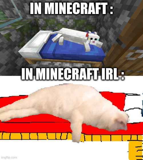 minecraft vs reality | IN MINECRAFT :; IN MINECRAFT IRL : | image tagged in minecraft vs reality,minecraft,joke,cat,lol,true things | made w/ Imgflip meme maker