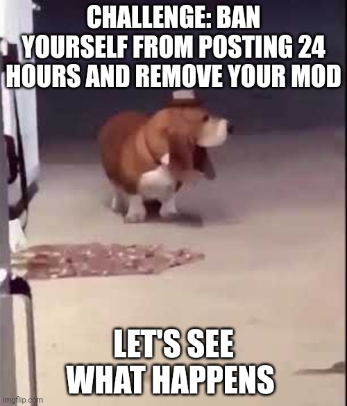 Type results in comment | CHALLENGE: BAN YOURSELF FROM POSTING 24 HOURS AND REMOVE YOUR MOD; LET'S SEE WHAT HAPPENS | image tagged in big iron | made w/ Imgflip meme maker