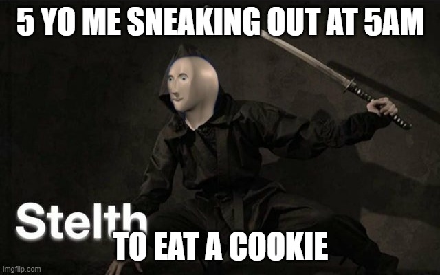 Stelth | 5 YO ME SNEAKING OUT AT 5AM; TO EAT A COOKIE | image tagged in stelth | made w/ Imgflip meme maker