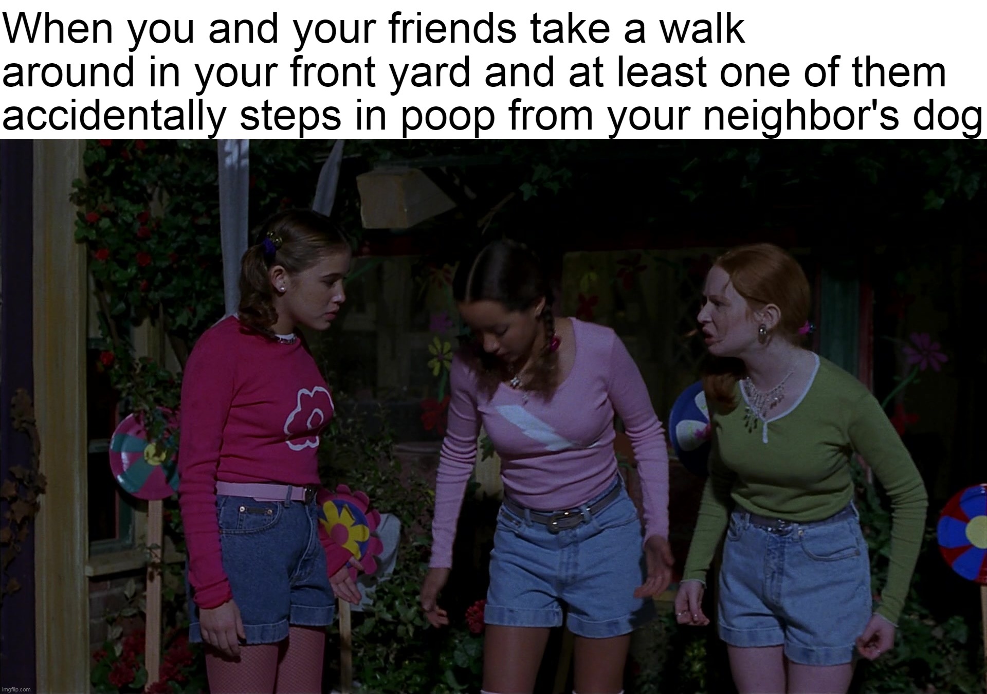 There Went That New Pair of Shoes | When you and your friends take a walk around in your front yard and at least one of them accidentally steps in poop from your neighbor's dog | image tagged in meme,memes,humor,relatable | made w/ Imgflip meme maker
