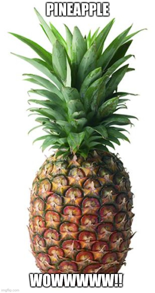 pineapple | PINEAPPLE; WOWWWWW!! | image tagged in pineapple | made w/ Imgflip meme maker