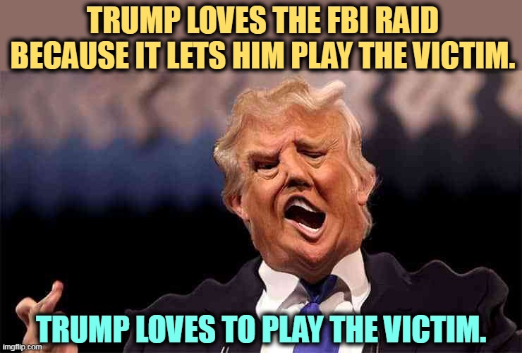 Trump on Acid making just as little sense | TRUMP LOVES THE FBI RAID BECAUSE IT LETS HIM PLAY THE VICTIM. TRUMP LOVES TO PLAY THE VICTIM. | image tagged in trump on acid making just as little sense,trump,victim,malignant narcissism,selfishness | made w/ Imgflip meme maker