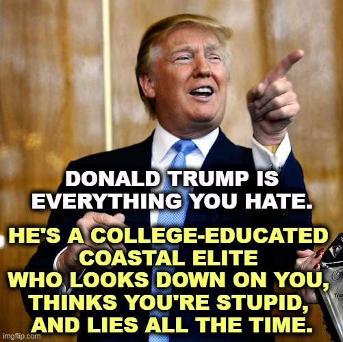 He thinks your clothes are awful but he doesn't mind picking your pockets. | DONALD TRUMP IS EVERYTHING YOU HATE. HE'S A COLLEGE-EDUCATED 
COASTAL ELITE 
WHO LOOKS DOWN ON YOU, 
THINKS YOU'RE STUPID, 
AND LIES ALL THE TIME. | image tagged in donal trump birthday,trump,elite,snob,stupid,liar | made w/ Imgflip meme maker