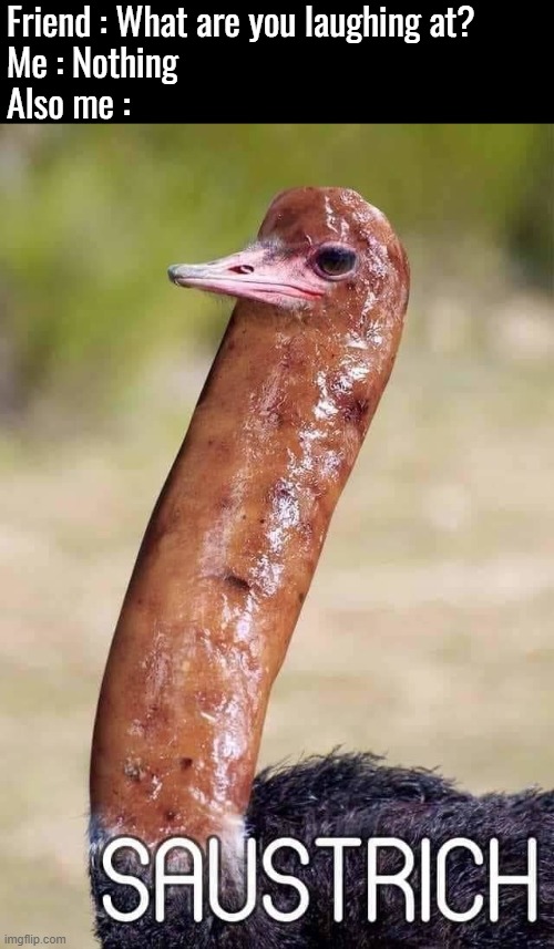 Sausage Ostrich | Friend : What are you laughing at?
Me : Nothing
Also me : | image tagged in teacher what are you laughing at,sausage,ostrich,memes,funny | made w/ Imgflip meme maker