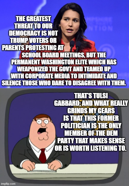 She's the only Dem that I could envision voting for. | THE GREATEST THREAT TO OUR DEMOCRACY IS NOT TRUMP VOTERS OR PARENTS PROTESTING AT; SCHOOL BOARD MEETINGS, BUT THE PERMANENT WASHINGTON ELITE WHICH HAS WEAPONIZED THE GOVT AND TEAMED UP WITH CORPORATE MEDIA TO INTIMIDATE AND SILENCE THOSE WHO DARE TO DISAGREE WITH THEM. THAT'S TULSI GABBARD; AND WHAT REALLY GRINDS MY GEARS IS THAT THIS FORMER POLITICIAN IS THE ONLY MEMBER OF THE DEM PARTY THAT MAKES SENSE OR IS WORTH LISTENING TO. | image tagged in tulsi | made w/ Imgflip meme maker