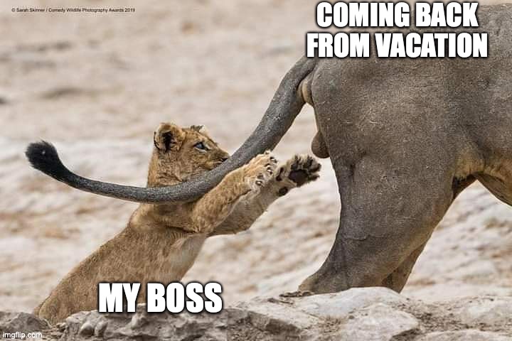 COMING BACK FROM VACATION; MY BOSS | made w/ Imgflip meme maker