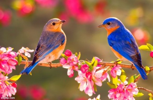 image tagged in awesome | made w/ Imgflip meme maker