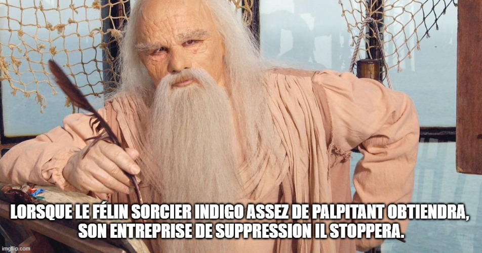 LORSQUE LE FÉLIN SORCIER INDIGO ASSEZ DE PALPITANT OBTIENDRA, 
SON ENTREPRISE DE SUPPRESSION IL STOPPERA. | made w/ Imgflip meme maker
