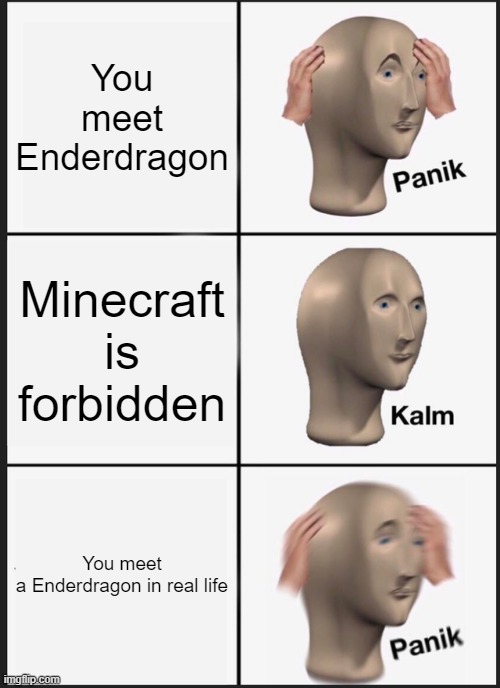 Minecraft is forbidden | You meet Enderdragon; Minecraft is forbidden; You meet a Enderdragon in real life | image tagged in memes,panik kalm panik | made w/ Imgflip meme maker
