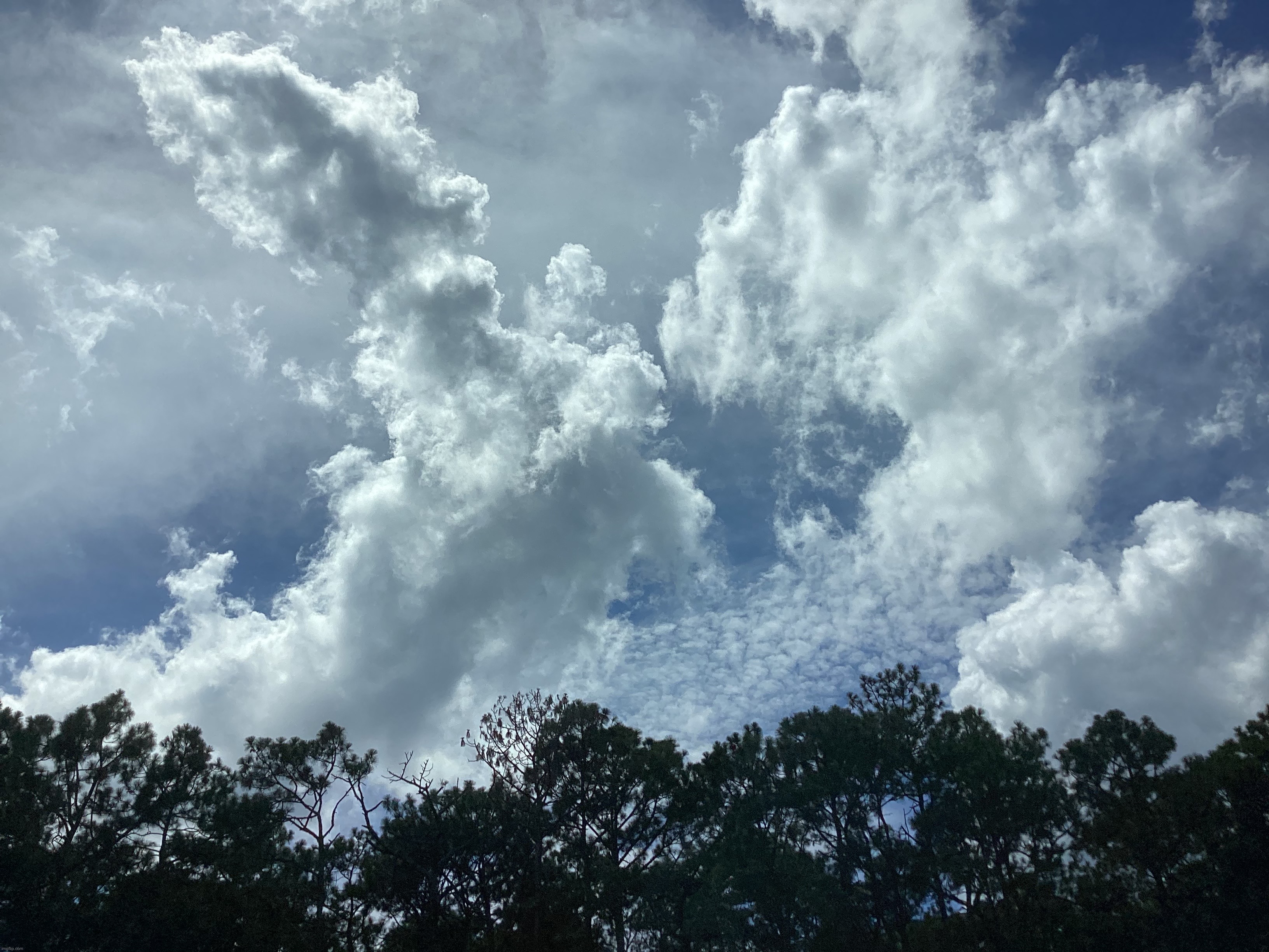 Georgia Clouds | image tagged in share your own photos | made w/ Imgflip meme maker