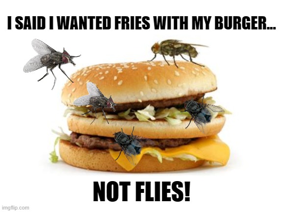 Careful What You Ask For... | I SAID I WANTED FRIES WITH MY BURGER... NOT FLIES! | image tagged in memes,funny,humor,dark humor,lol,funny memes | made w/ Imgflip meme maker