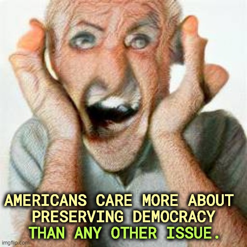 Fascist dictators, go home! | AMERICANS CARE MORE ABOUT 
PRESERVING DEMOCRACY; THAN ANY OTHER ISSUE. | image tagged in americans,love,democracy,hate,dictator | made w/ Imgflip meme maker