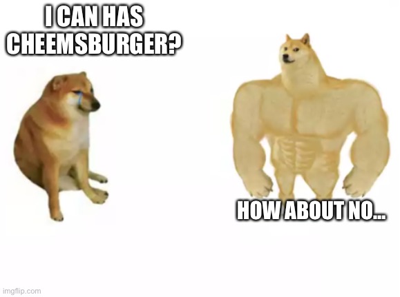 buff doge vs cheems reversed | I CAN HAS CHEEMSBURGER? HOW ABOUT NO… | image tagged in buff doge vs cheems reversed | made w/ Imgflip meme maker