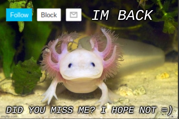 I'm back peeps | IM BACK; DID YOU MISS ME? I HOPE NOT =) | image tagged in axolotldudes announcement template | made w/ Imgflip meme maker