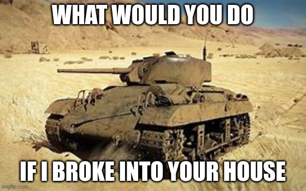 not the image, just me :/ | WHAT WOULD YOU DO; IF I BROKE INTO YOUR HOUSE | image tagged in locust | made w/ Imgflip meme maker