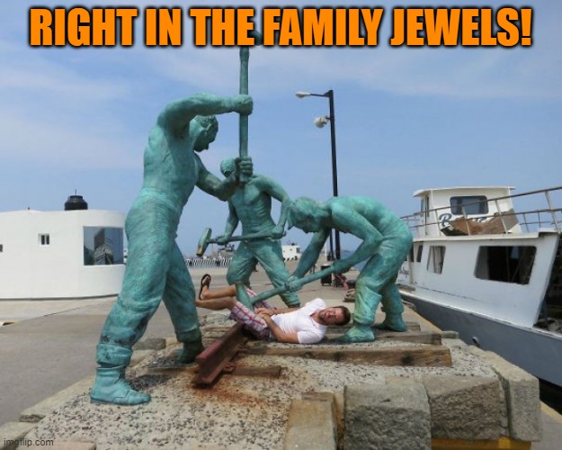 family jewels | RIGHT IN THE FAMILY JEWELS! | made w/ Imgflip meme maker