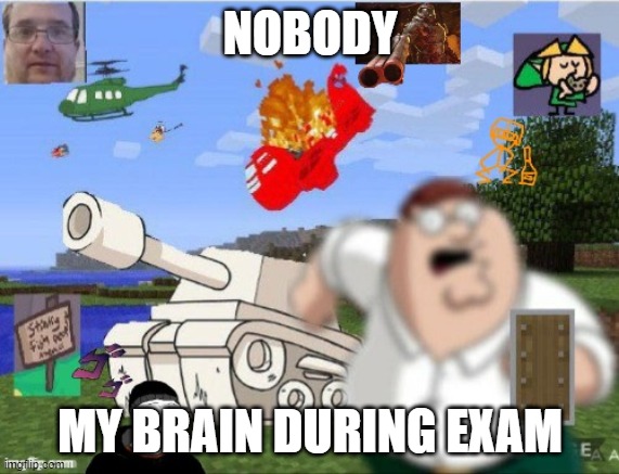 mmmmm | NOBODY; MY BRAIN DURING EXAM | image tagged in my dreams | made w/ Imgflip meme maker