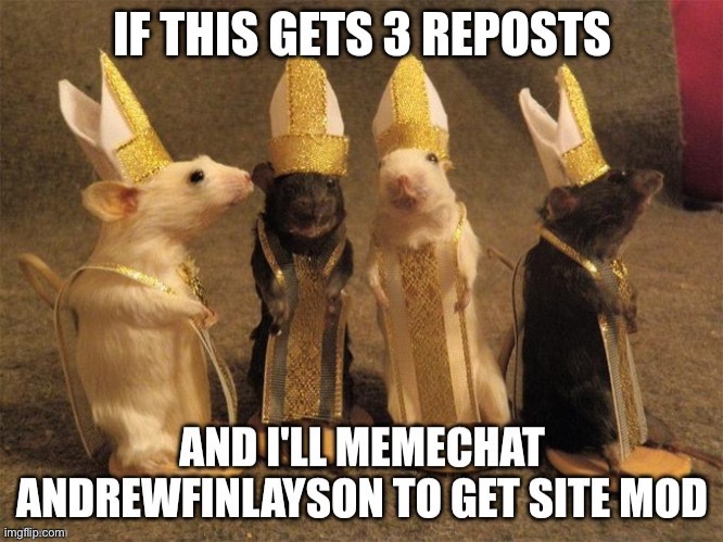 Do it | made w/ Imgflip meme maker