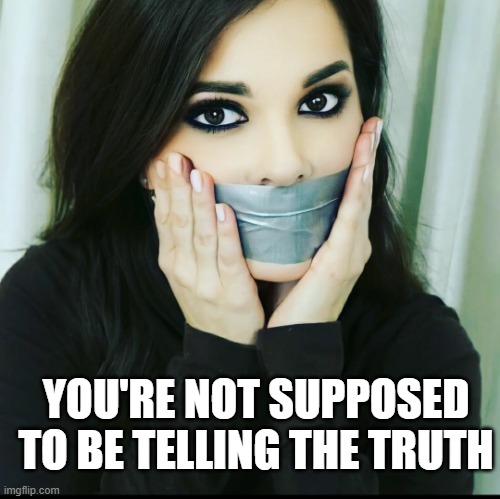Duct tape zoom meetings | YOU'RE NOT SUPPOSED TO BE TELLING THE TRUTH | image tagged in duct tape zoom meetings | made w/ Imgflip meme maker