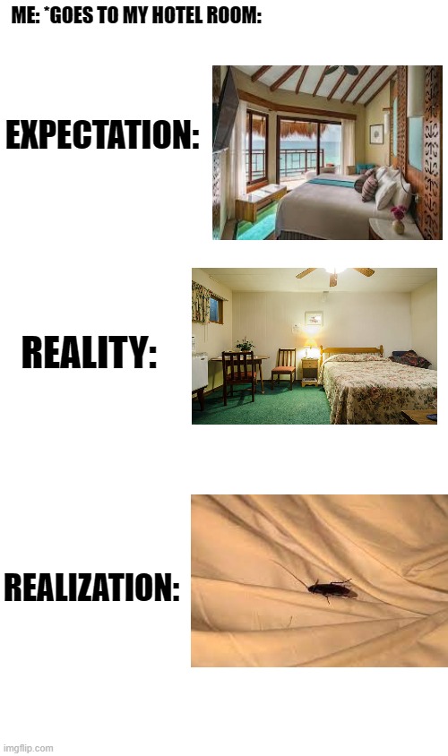 expectation vs reality vs realization in hotel room | ME: *GOES TO MY HOTEL ROOM:; EXPECTATION:; REALITY:; REALIZATION: | image tagged in expectation vs reality,realization,funny,funny memes,memes,meme | made w/ Imgflip meme maker