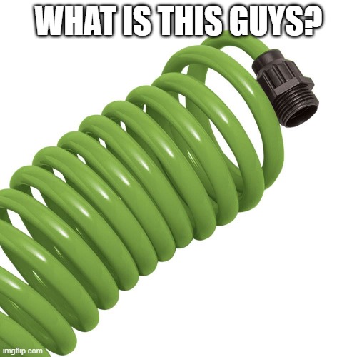 whats this? | WHAT IS THIS GUYS? | image tagged in regen coil | made w/ Imgflip meme maker