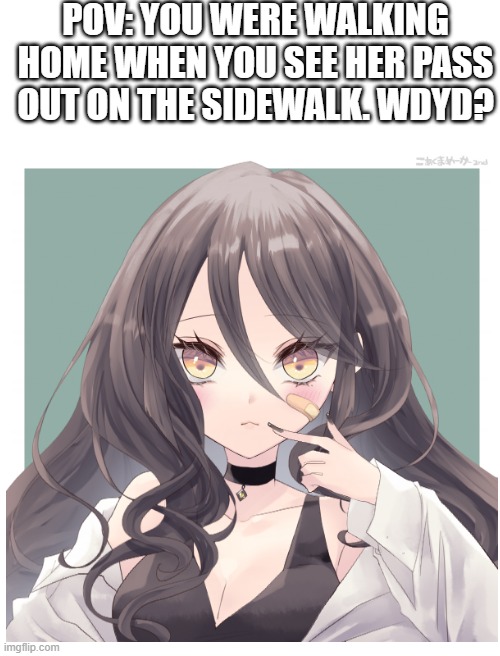 Romance RP, any gender, no joke or bambi, no erp you sicko, no military ocs or killing her | POV: YOU WERE WALKING HOME WHEN YOU SEE HER PASS OUT ON THE SIDEWALK. WDYD? | image tagged in blank white template | made w/ Imgflip meme maker