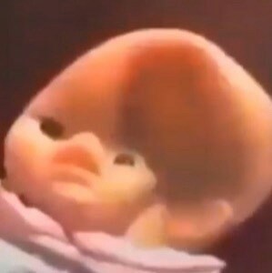 Me when Blank Meme Template