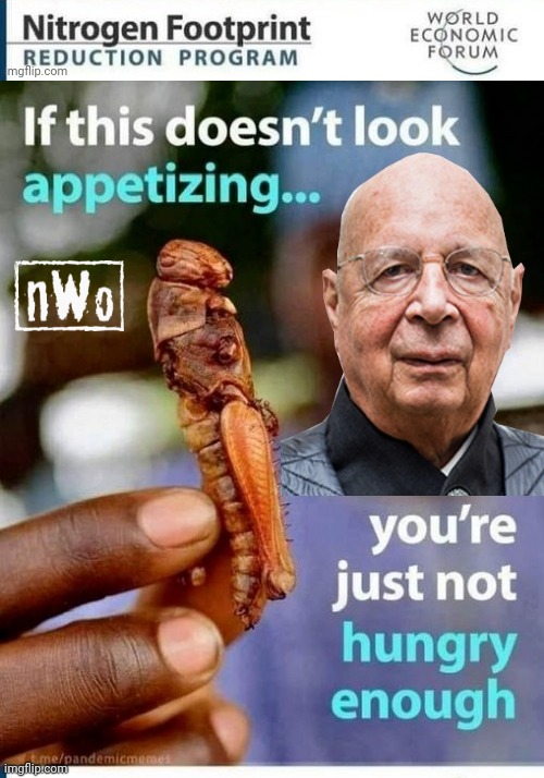 Klaus Schwab starve you into eating bugs | image tagged in nwo | made w/ Imgflip meme maker