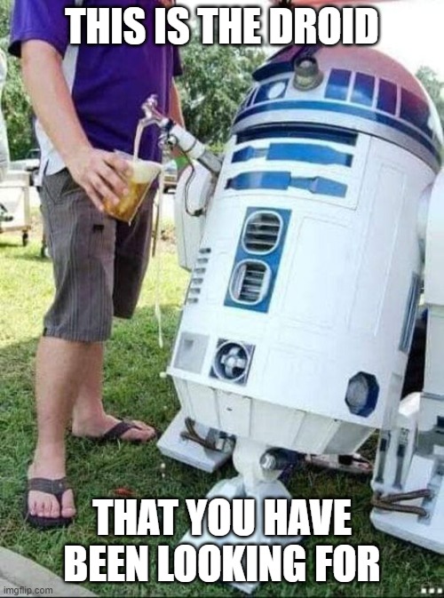 Droid | THIS IS THE DROID; THAT YOU HAVE BEEN LOOKING FOR | image tagged in droid | made w/ Imgflip meme maker