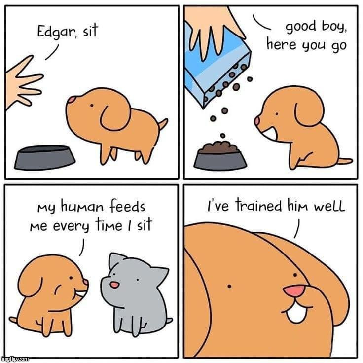 image tagged in comics | made w/ Imgflip meme maker
