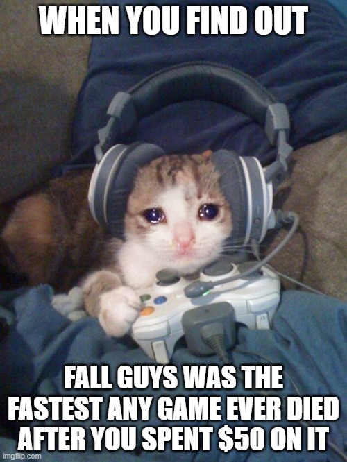 Someone did it | WHEN YOU FIND OUT; FALL GUYS WAS THE FASTEST ANY GAME EVER DIED AFTER YOU SPENT $50 ON IT | image tagged in sad gamer cat with headphones crying while playing video games | made w/ Imgflip meme maker