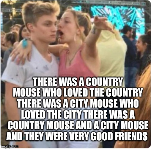 Bro Girl Explaining | THERE WAS A COUNTRY MOUSE WHO LOVED THE COUNTRY THERE WAS A CITY MOUSE WHO LOVED THE CITY THERE WAS A COUNTRY MOUSE AND A CITY MOUSE AND THEY WERE VERY GOOD FRIENDS | image tagged in bro girl explaining,daddit | made w/ Imgflip meme maker