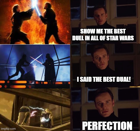 Ah yes Dual of the Droids | SHOW ME THE BEST DUEL IN ALL OF STAR WARS; I SAID THE BEST DUAL! PERFECTION | image tagged in perfection,r2d2 | made w/ Imgflip meme maker
