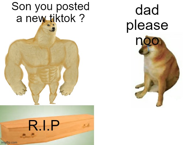 TikTok moment be like | Son you posted a new tiktok ? dad please noo; R.I.P | image tagged in memes,buff doge vs cheems | made w/ Imgflip meme maker