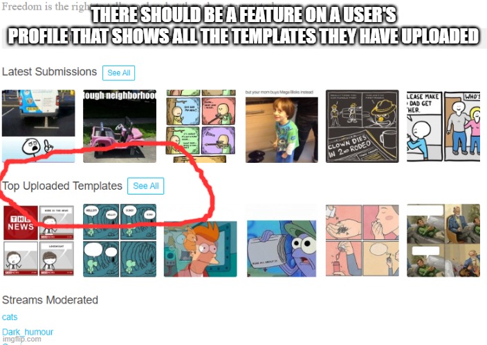 I really want this feature | THERE SHOULD BE A FEATURE ON A USER'S PROFILE THAT SHOWS ALL THE TEMPLATES THEY HAVE UPLOADED | image tagged in template,profile | made w/ Imgflip meme maker