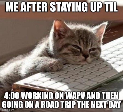 Rip | ME AFTER STAYING UP TIL; 4:00 WORKING ON WAPV AND THEN GOING ON A ROAD TRIP THE NEXT DAY | image tagged in tired cat | made w/ Imgflip meme maker