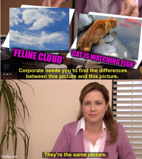 -So tasty goood! | *FELINE CLOUD*; *CAT IS WATCHING FISH* | image tagged in memes,they're the same picture,cute cat,fishing for upvotes,watching,cat at dinner | made w/ Imgflip meme maker