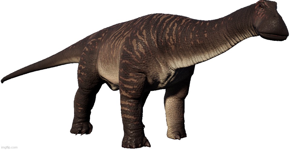 What's this animal 4 (Wrong Answers only) | image tagged in nigersaurus,jurassic park,jurassic world,dinosaur,wrong answer | made w/ Imgflip meme maker