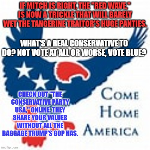 You're going to lose, anyway.  Send a message vote. | IF MITCH IS RIGHT, THE "RED WAVE," IS NOW A TRICKLE THAT WILL BARELY WET THE TANGERINE TRAITOR'S HUGE PANTIES. WHAT'S A REAL CONSERVATIVE TO DO? NOT VOTE AT ALL OR WORSE, VOTE BLUE? CHECK OUT "THE CONSERVATIVE PARTY USA," ONLINE. THEY SHARE YOUR VALUES WITHOUT ALL THE BAGGAGE TRUMP'S GOP HAS. | image tagged in politics | made w/ Imgflip meme maker