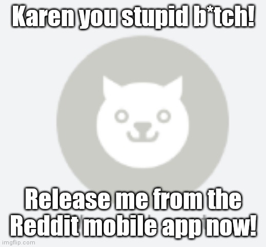 Ironic doge meme | Karen you stupid b*tch! Release me from the Reddit mobile app now! | image tagged in wow such empty | made w/ Imgflip meme maker