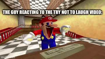 . | THE GUY REACTING TO THE TRY NOT TO LAUGH VIDEO: | image tagged in gifs,memes,mario | made w/ Imgflip video-to-gif maker