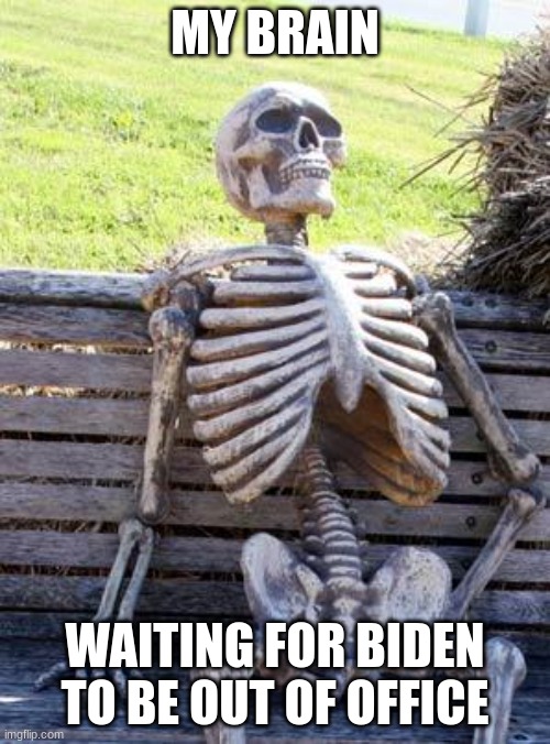 Waiting Skeleton | MY BRAIN; WAITING FOR BIDEN TO BE OUT OF OFFICE | image tagged in memes,waiting skeleton | made w/ Imgflip meme maker