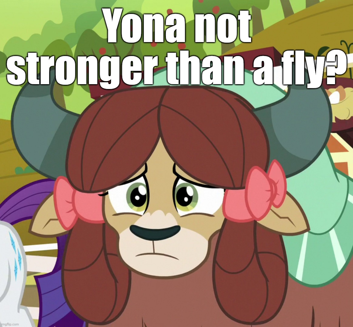Yona not stronger than a fly? | made w/ Imgflip meme maker