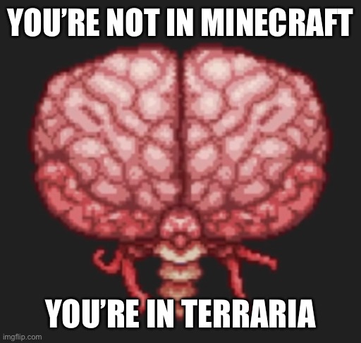 YOU’RE NOT IN MINECRAFT YOU’RE IN TERRARIA | made w/ Imgflip meme maker