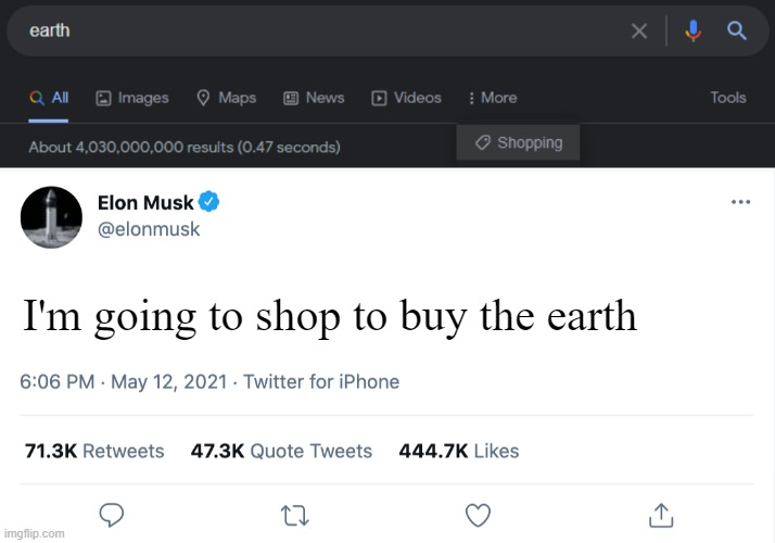Elon Musk buys earth | I'm going to shop to buy the earth | image tagged in elon musk blank tweet | made w/ Imgflip meme maker