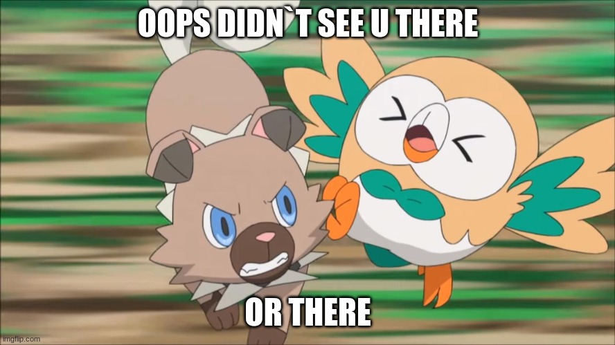 ... | OOPS DIDN`T SEE U THERE; OR THERE | image tagged in rockruff attacks rowlet | made w/ Imgflip meme maker