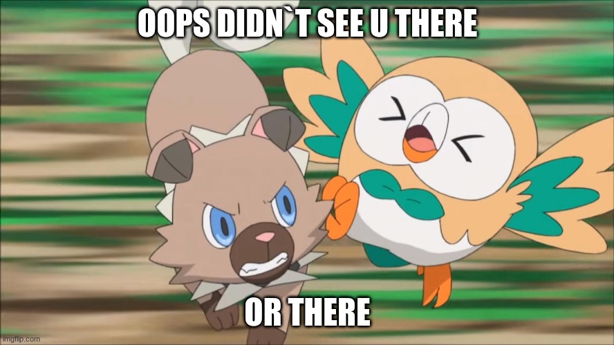 oof | OOPS DIDN`T SEE U THERE; OR THERE | image tagged in rockruff attacks rowlet | made w/ Imgflip meme maker