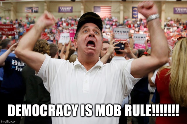 DEMOCRACY IS MOB RULE!!!!!!! | made w/ Imgflip meme maker