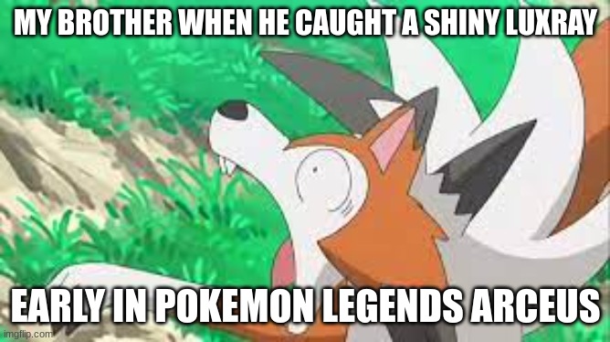 Lycanroc surprized | MY BROTHER WHEN HE CAUGHT A SHINY LUXRAY; EARLY IN POKEMON LEGENDS ARCEUS | image tagged in lycanroc surprized | made w/ Imgflip meme maker